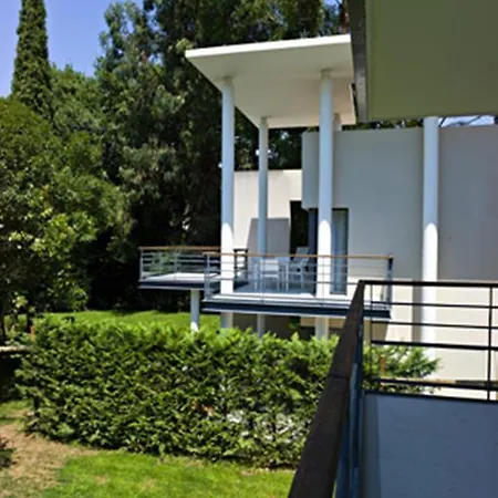 Arthur - Montfleury *